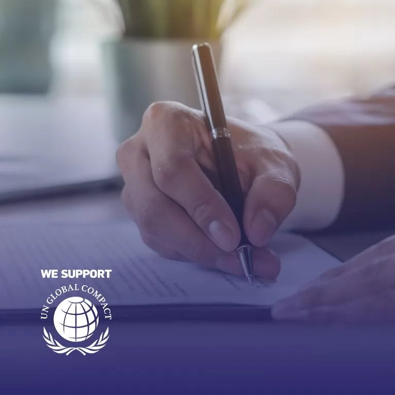 BM Küresel İlkeler